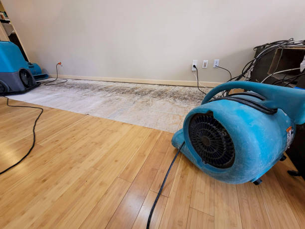 Professional Basement Flood Cleanup technician working in Ithaca, NY